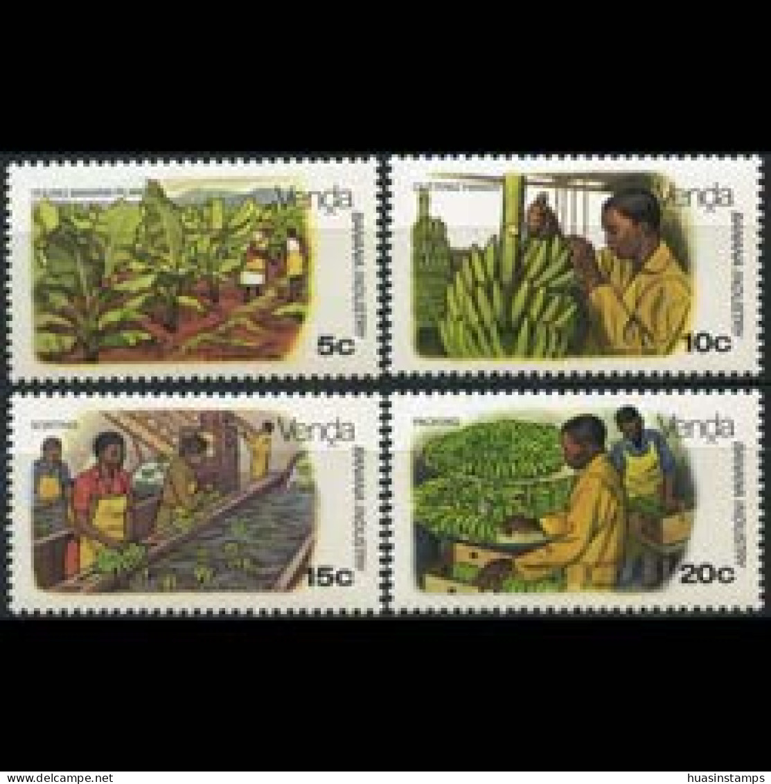 VENDA 1980 - Scott# 32-5 Banana Industry Set Of 4 MNH - Venda