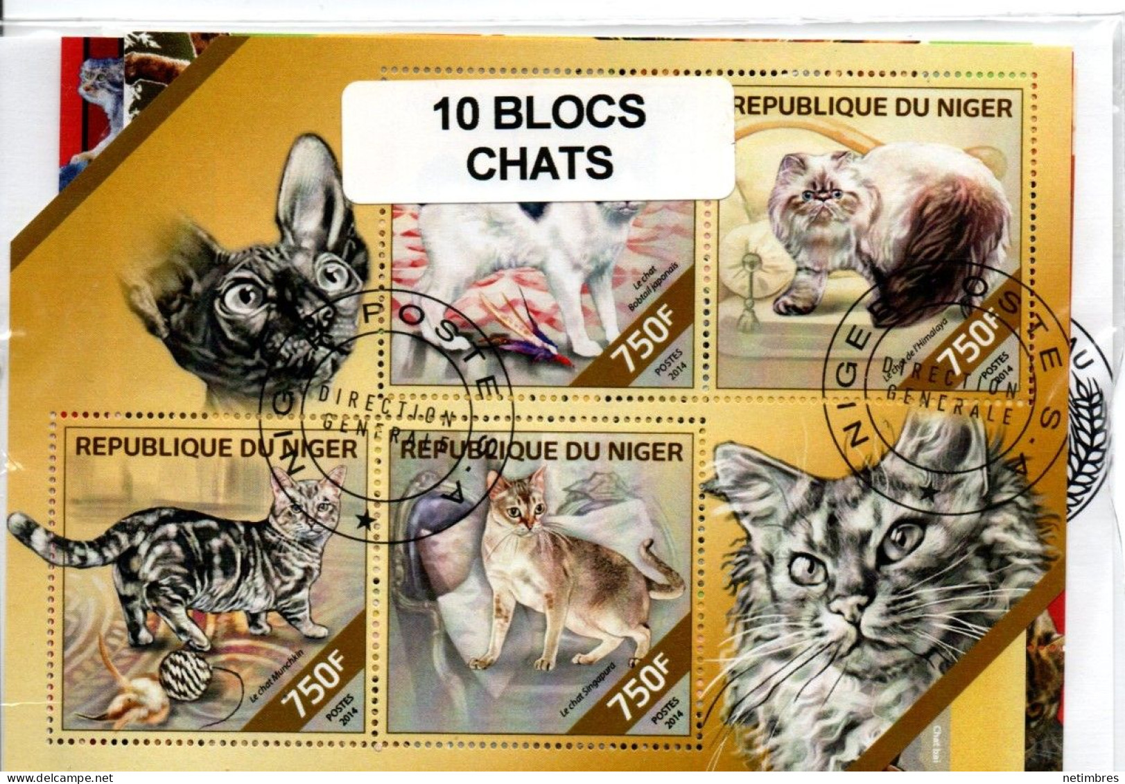 Lot Blocs Thematique " Chats " - Andere & Zonder Classificatie