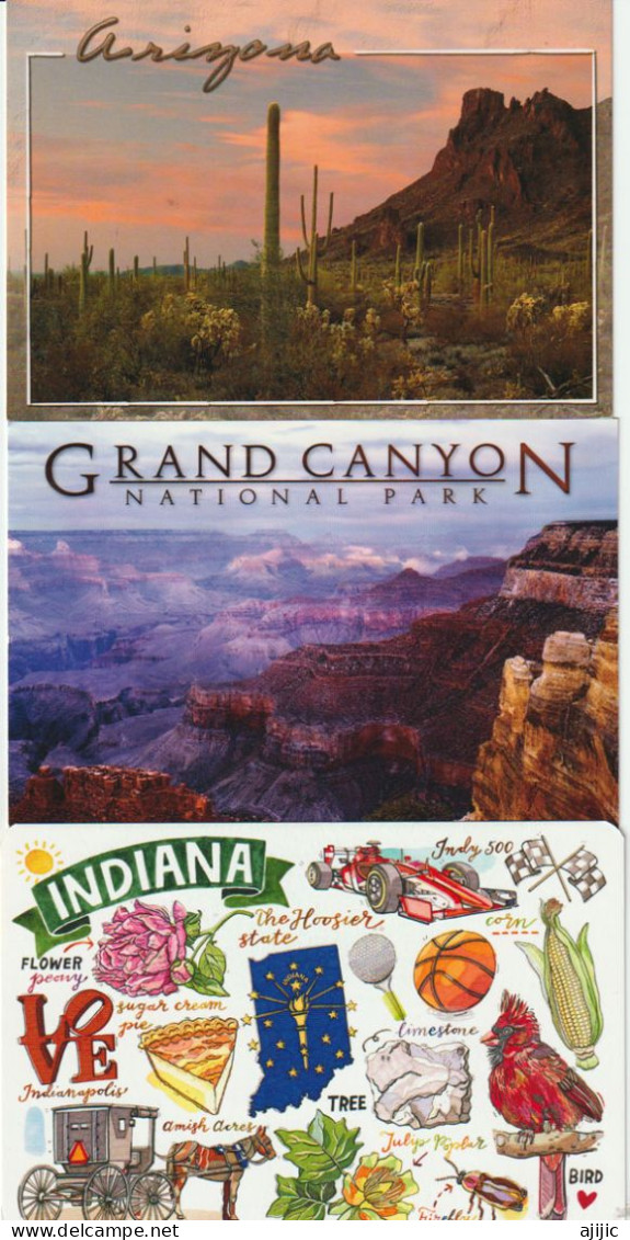 GRAND CANYON - ARIZONA - INDIANA - 3 POSTCARDS (NEW) UNCIRCULATED - Grand Canyon