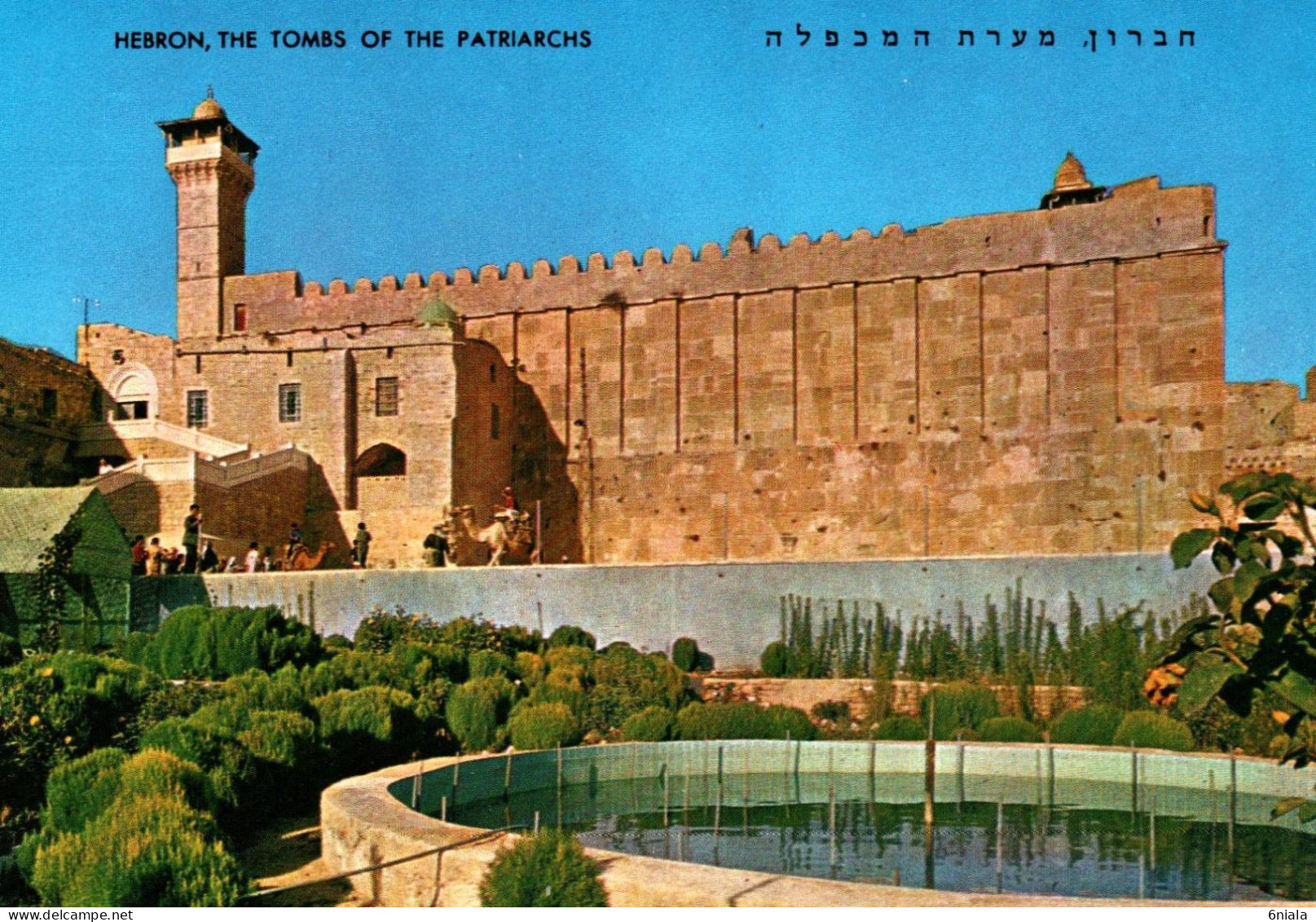 19719  HEBRON LE CAVEAU DES PATRIARCHS   ( 2 Scans) - Israel