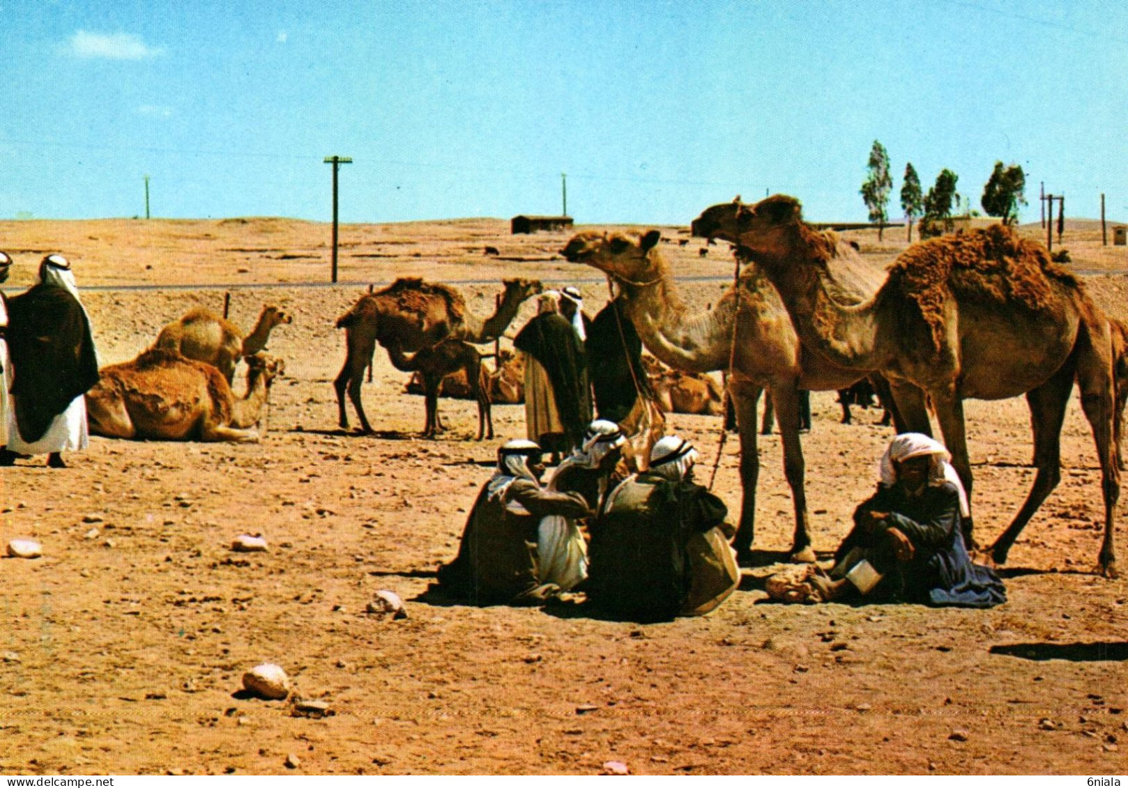 19696  AT THE MARKET DAY    ( 2 Scans) - Israel