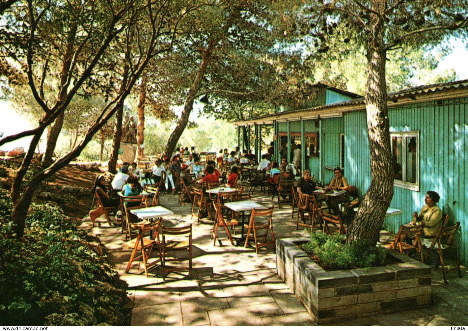 19707  KIBBUTZ BEIT OREN  THE CAFETARIA  ( 2 Scans) - Israel