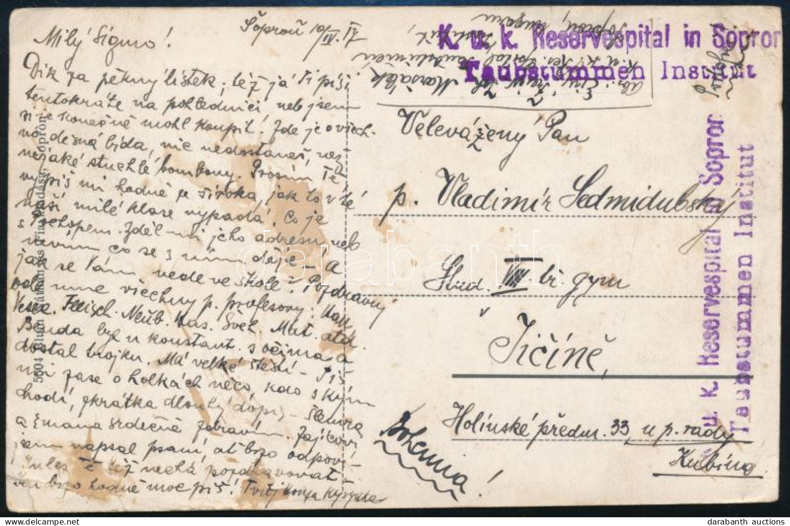 1917 Tábori Posta Képeslap (Sopron Erzsébetkerti Részlet) "K.u.k. Reservespital In Sopron" Lila Bélyegzéssel - Other & Unclassified