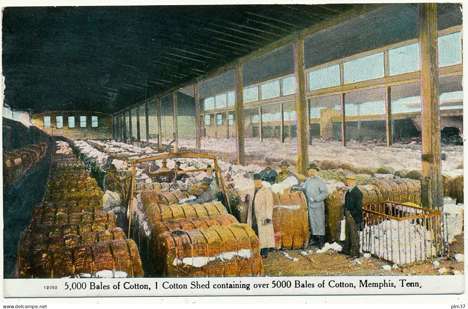 MEMPHIS, TN  - 5000 Bales Of Cotton - Memphis