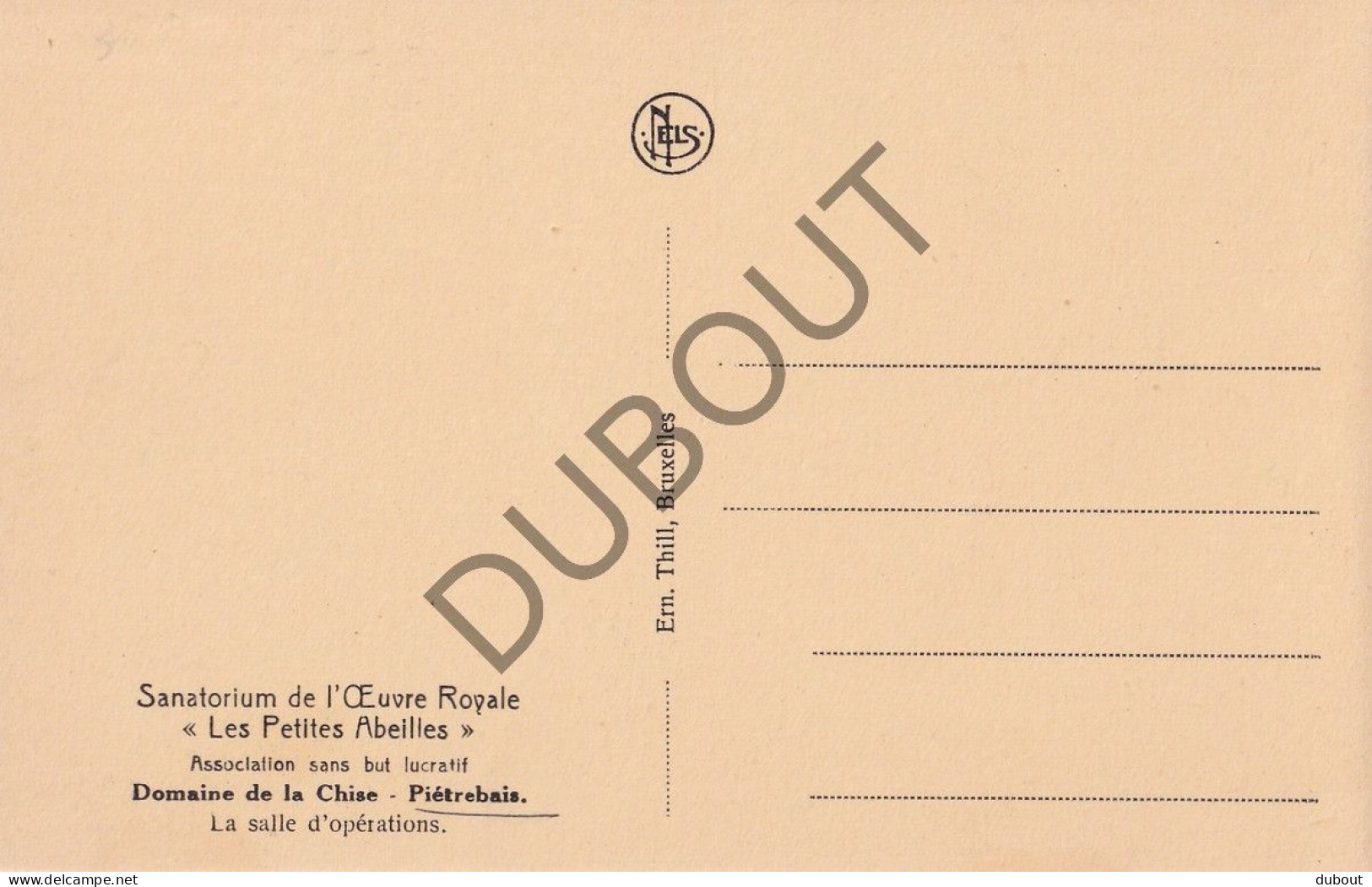 Postkaart/Carte Postale - Piétrebais Sanatorium Les Petites Abeilles (C5268) - Incourt