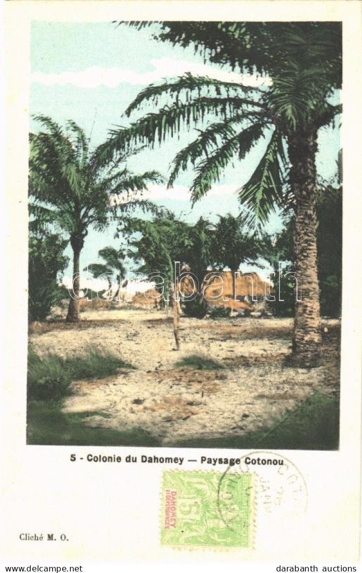 * T1 Cotonou, Paysage / Palm Trees - Ohne Zuordnung