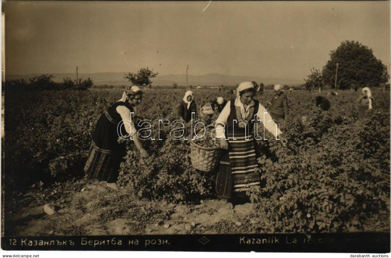 T2/T3 1931 Kazanlak, Kazanlik, La Recolte / Rózsa Szüret / Rose Harvest. Gr. Paskoff (fl) - Unclassified
