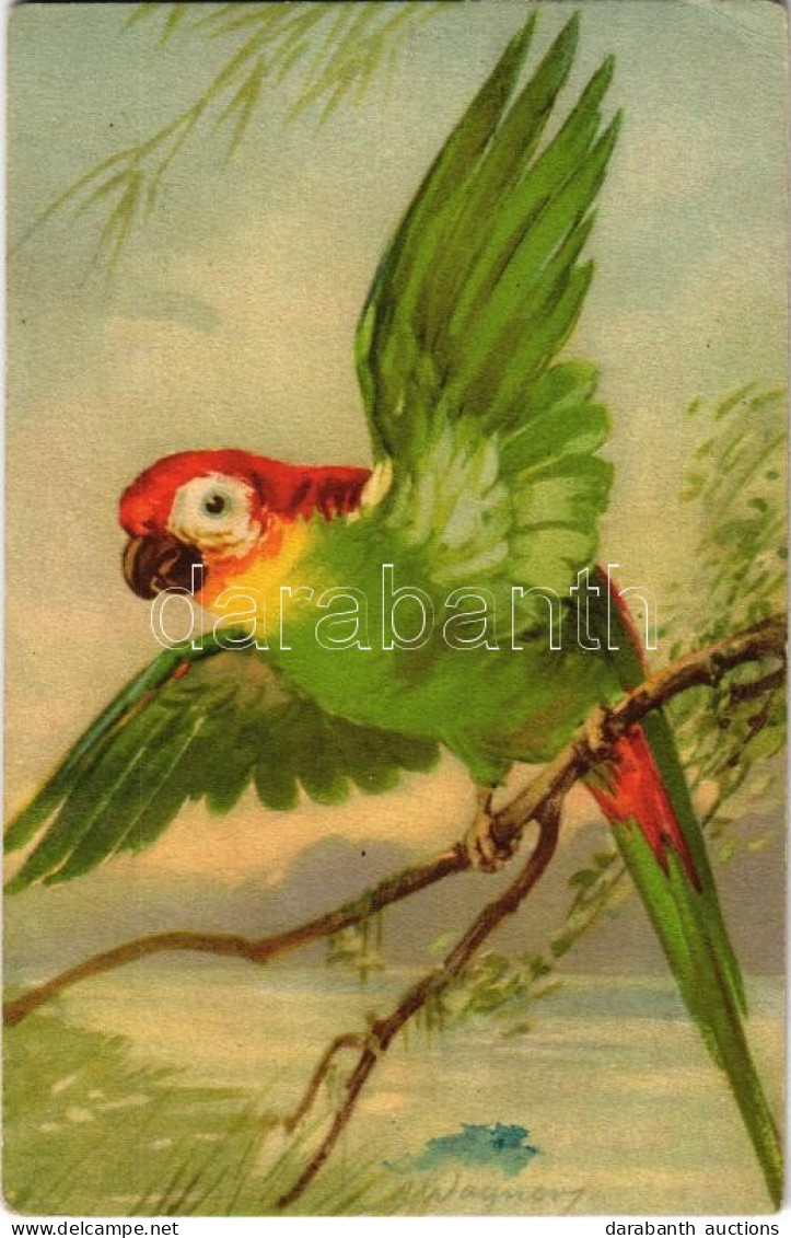 ** T2/T3 Parrot. 326/3. S: A. Wagner (EK) - Non Classés