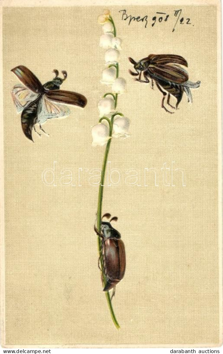 T2/T3 Májusi Cserebogár, Harangvirág / Cockchafer, With Campanula Flower, Erika No. 3636, Litho, Emb. (EK) - Ohne Zuordnung