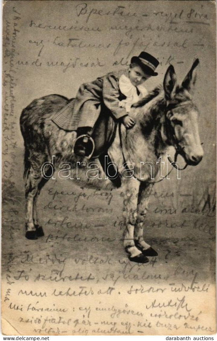 T3 1902 Boy Riding A Donkey (EK) - Unclassified