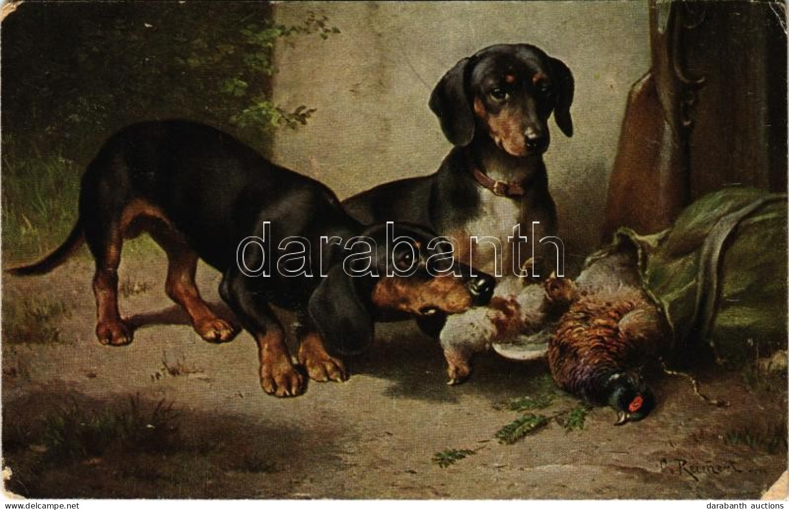 ** T3 Dachshund Dogs. T.S.N. Serie 1541. S: Reichert (worn Corners) - Ohne Zuordnung