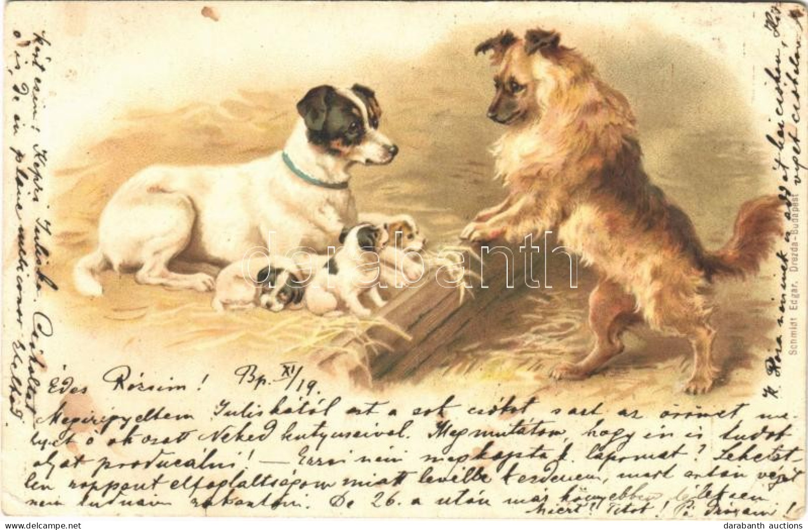 T3 1898 Dogs. Litho (EB) - Unclassified