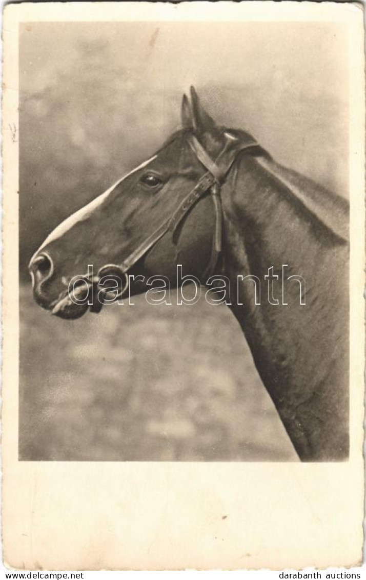 T2/T3 1943 Horse. Amag 66959/4. (EK) - Ohne Zuordnung