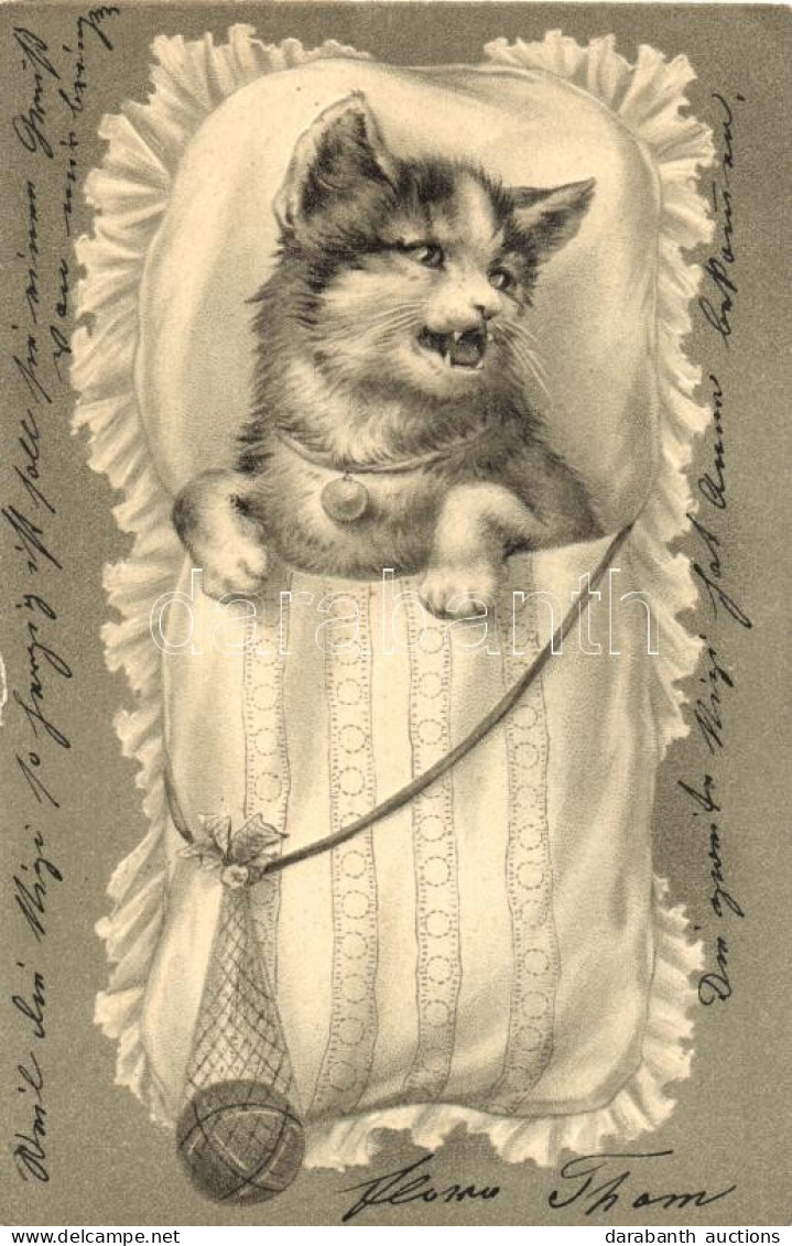 T4 Cat In Swaddling, E.A.W. Serie 826., Litho, Emb. (b) - Ohne Zuordnung