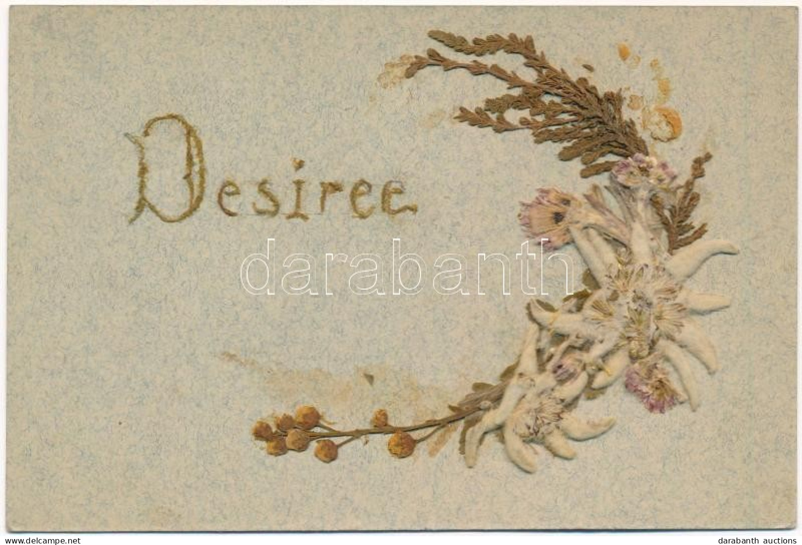 ** T2/T3 Desiree / Name Day Greeting Card With Real Flower - Unclassified