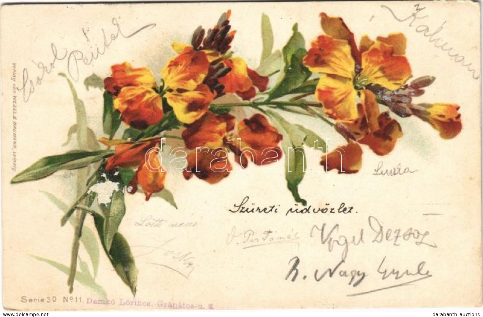 T4 1899 Flowers. Verlag V. Wezel & Naumann Serie 30. No. 11. Litho (EM) - Ohne Zuordnung