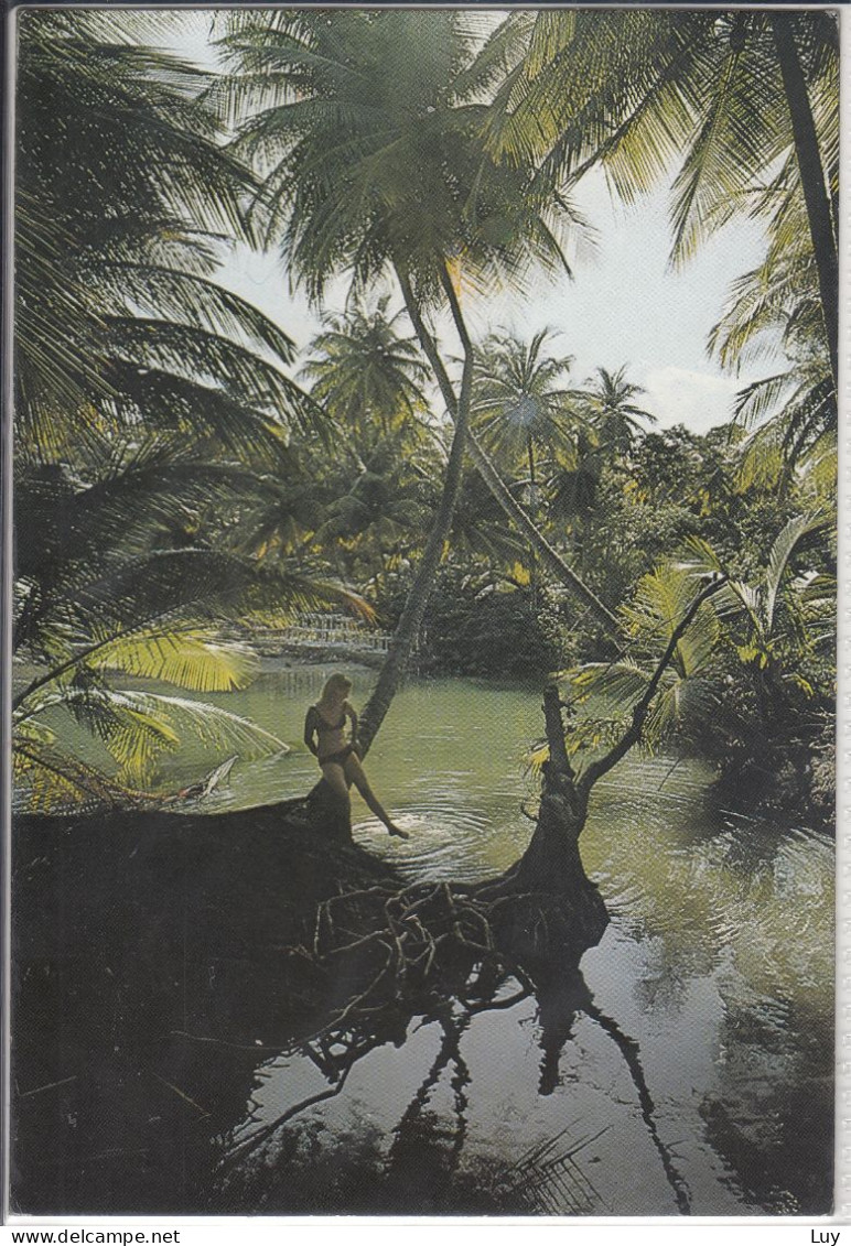 TRINIDAD AND TOBAGO - Sleepy Lagoon, Where The Cool, Fresh Water Flows Quietly Into The Sea, Used, Nice Stamp - Trinidad