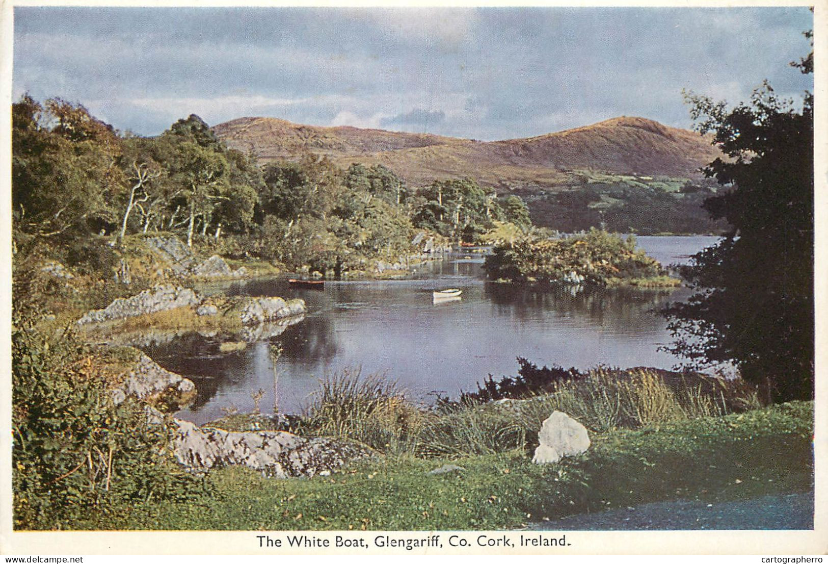 Postcard United Kingdom Ireland Cork The Whote Boat - Cork