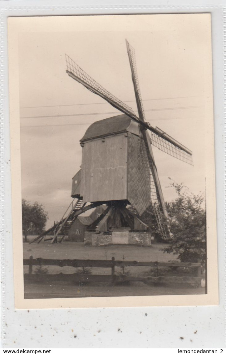 Meerhout. Koffiepotmolen. Photo, No Postcard. 12,5 X 9 Cm. * - Meerhout