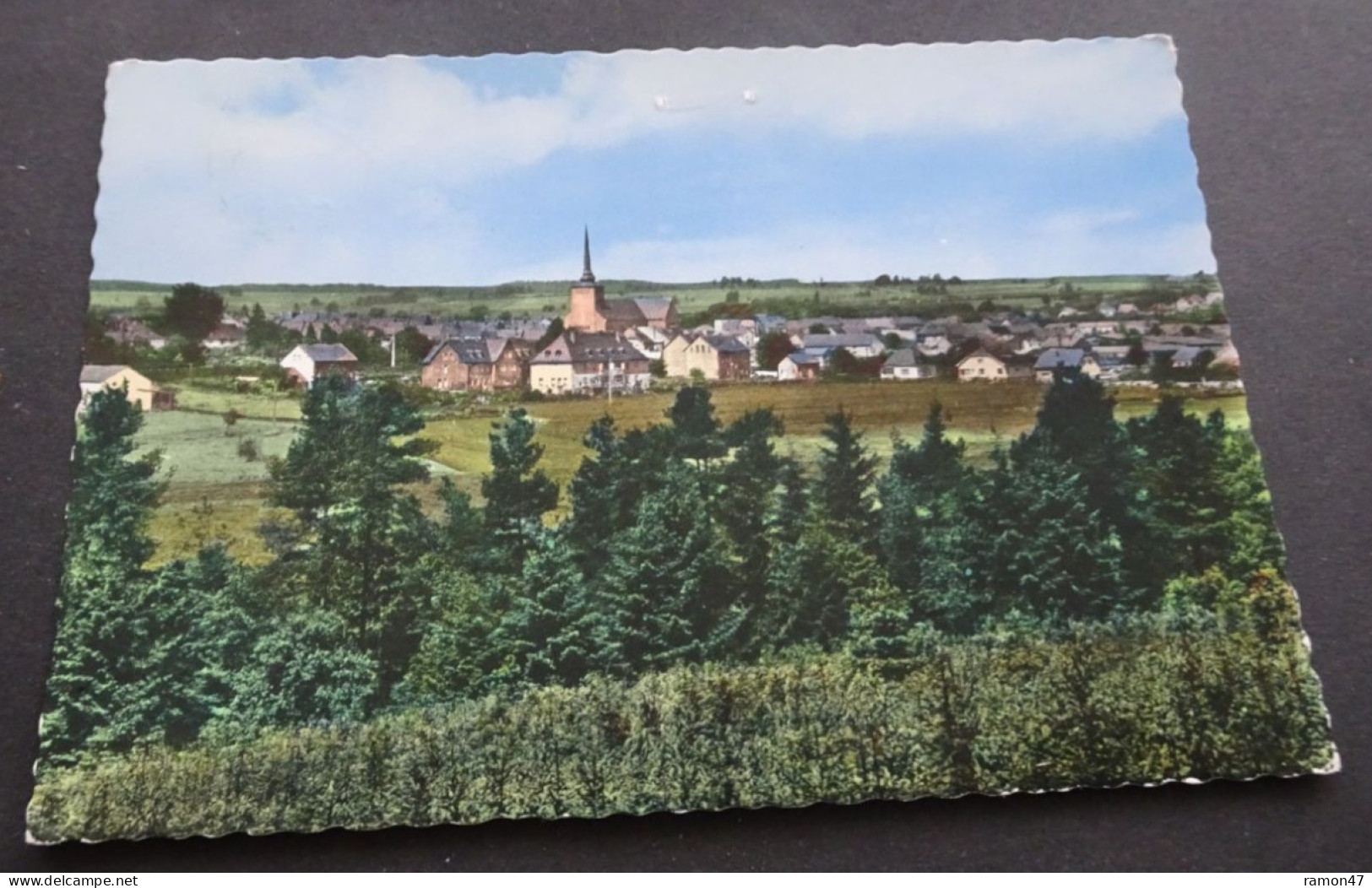 Saint-Vith - Panorama - Ets. Lander, Eupen - # 1355 - Saint-Vith - Sankt Vith