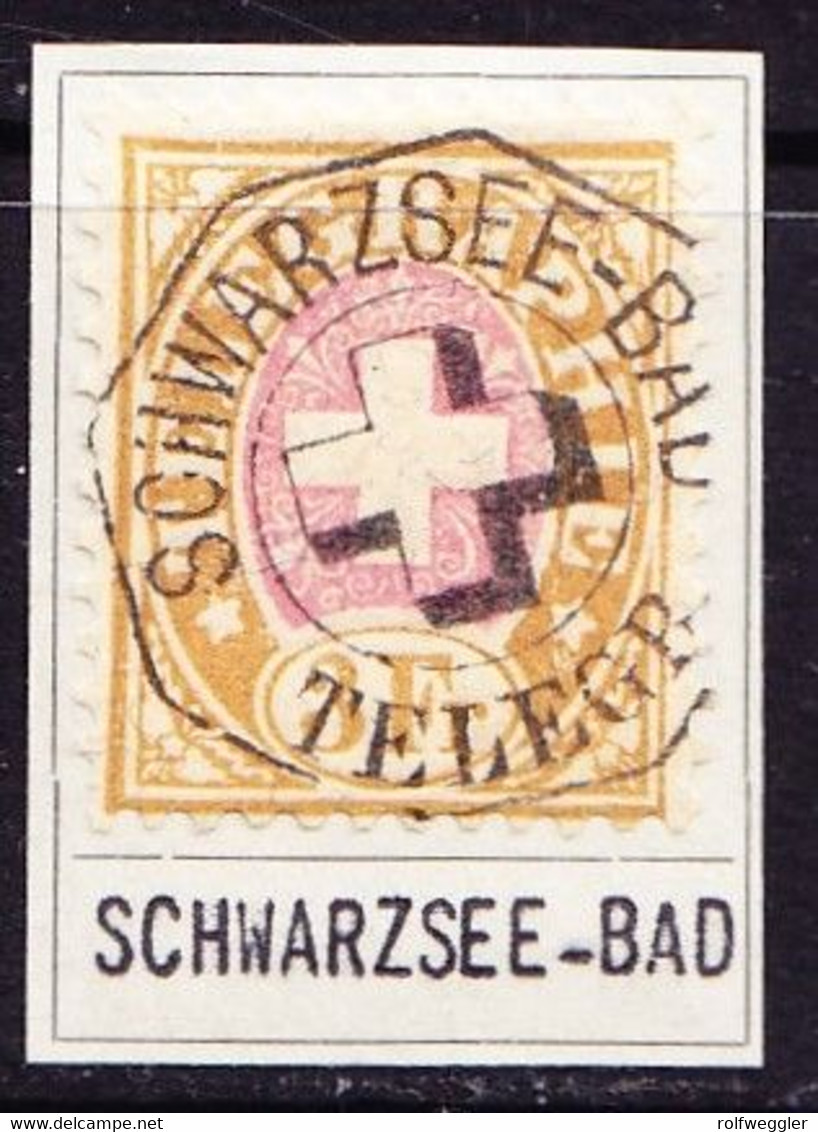 Um 1881 3 FR Telegraphen Marke, Faserpapier. Braun/rosa Mit Telegraphenstempel SCHWARZSEE-BAD. - Télégraphe
