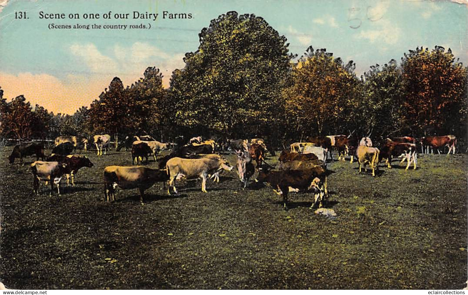 U S A       Scène On One Our Dairy Farms  - Cows -      (voir Scan) - Otros & Sin Clasificación