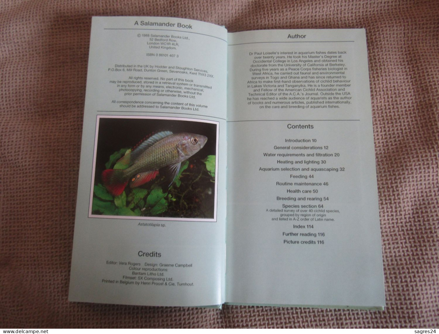 African Cichlids A Fishkeeper's Guide To African Cichlids - Dr.Paul V. Loiselle - Animaux