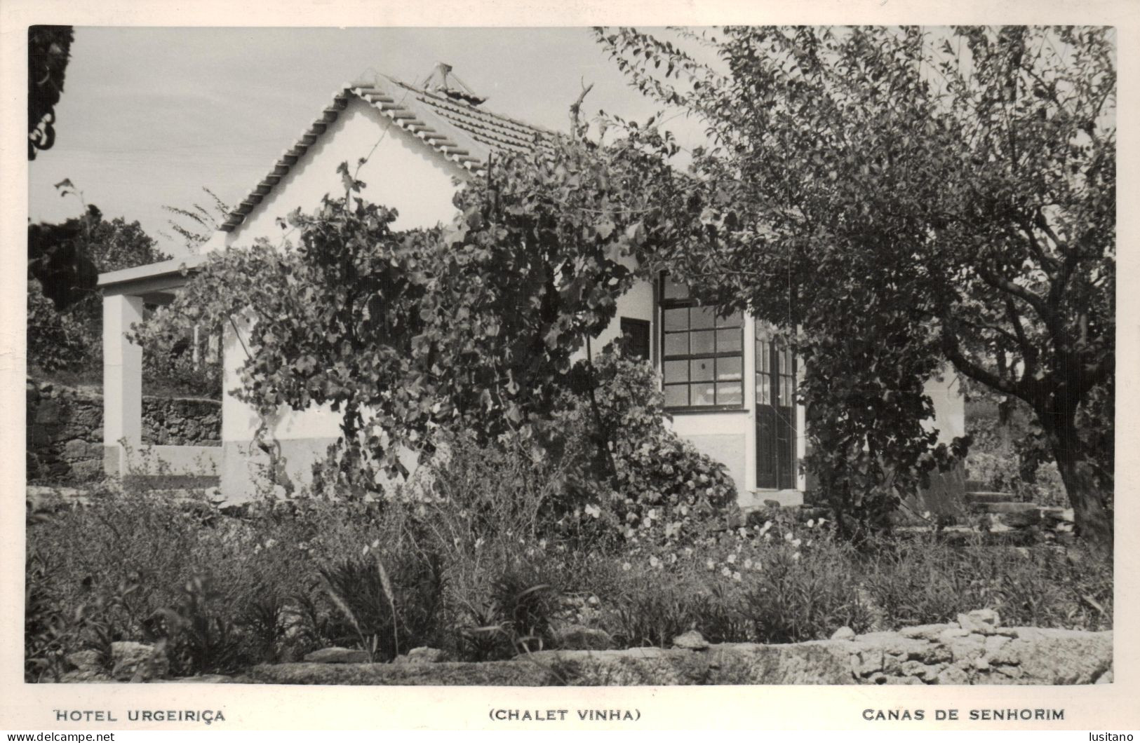 Canas De Senhorim, Hotel Urgeiriça, Chalet Vinha, ( Nelas ) PORTUGAL - Viseu