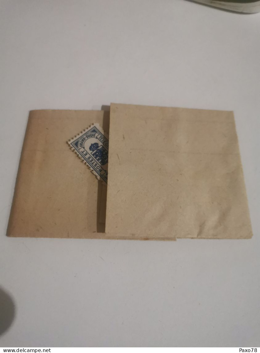 Télégramme Luxembourg 1919 Avec Timbre - Telegraphenmarken