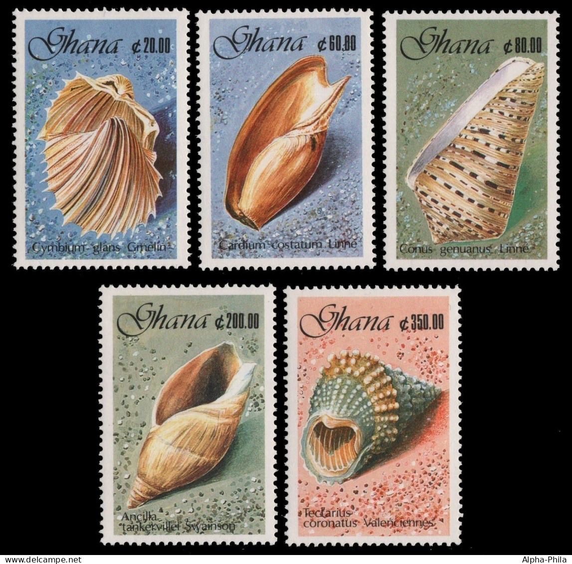 Ghana 1990 - Mi-Nr. 1364-1368 ** - MNH - Meeresschnecken / Marine Snails - Ghana (1957-...)