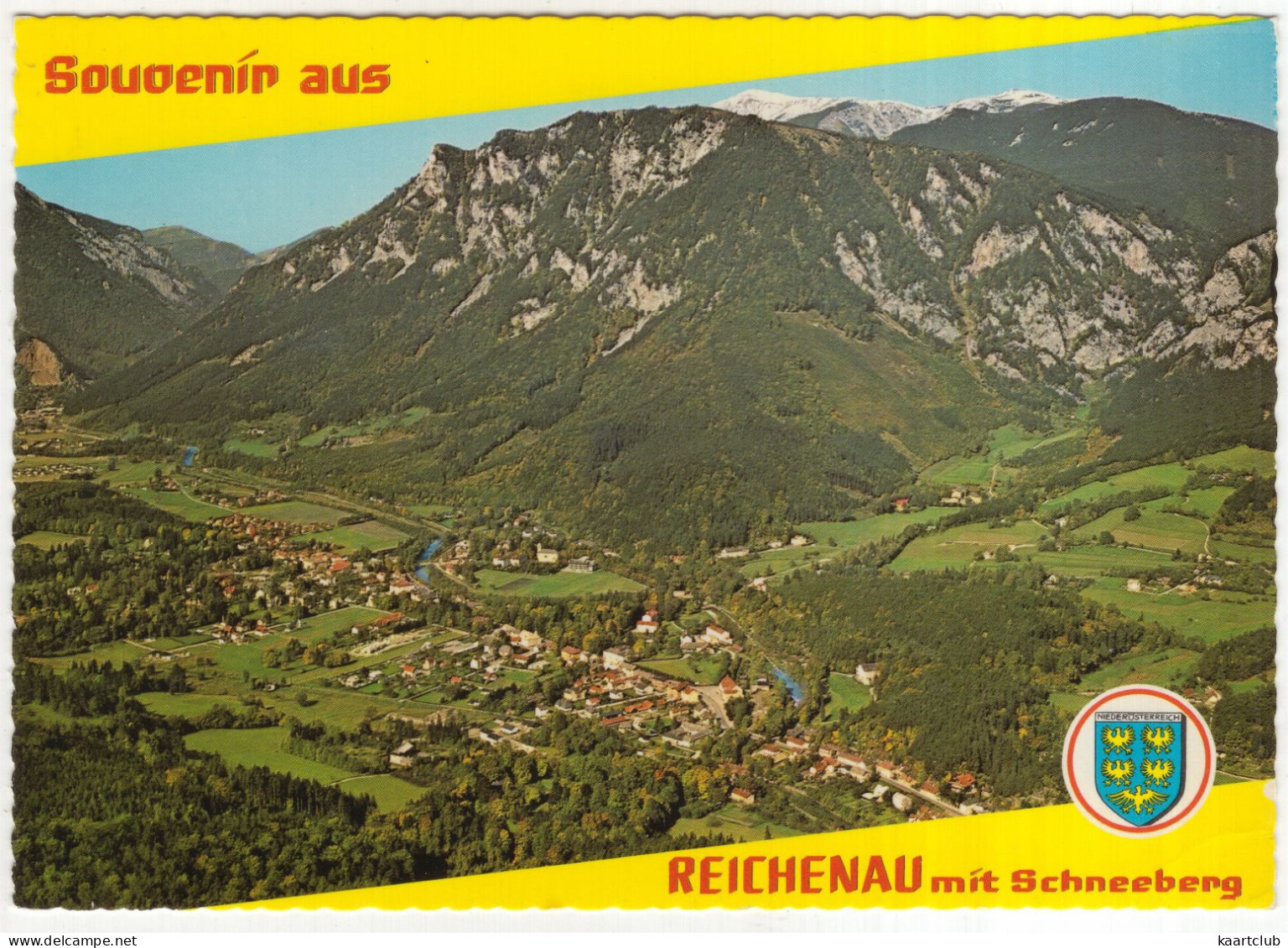 Reichenau, 487 M Mit Schneeberg 2075 M - (N.Ö., Österreich/Austria) - Alpine Luftbild - Schneeberggebiet