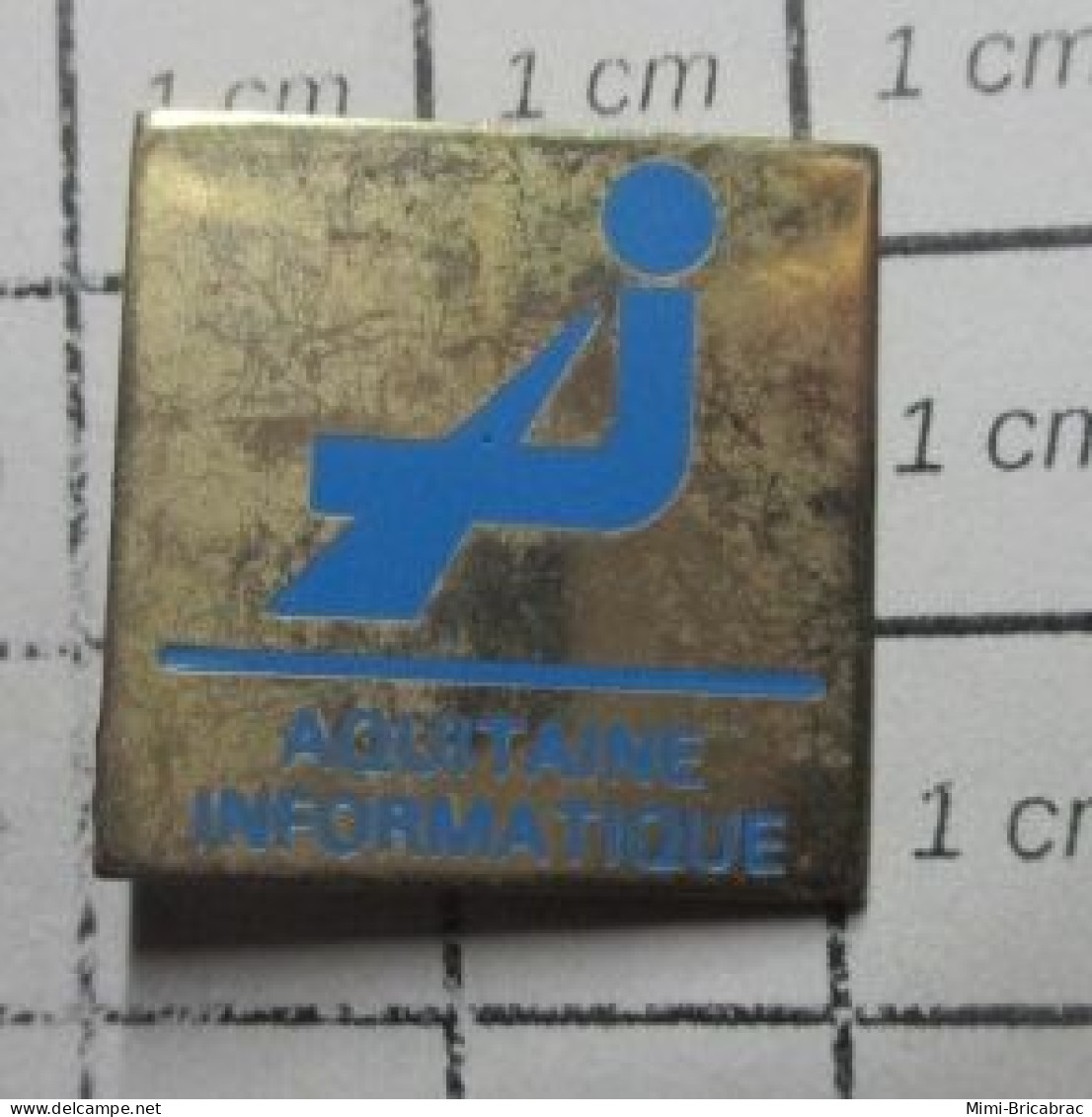 SP02 Pin's Pins / Beau Et Rare / INFORMATQIUE / AQUITAINE INFORMATIQUE - Informatique