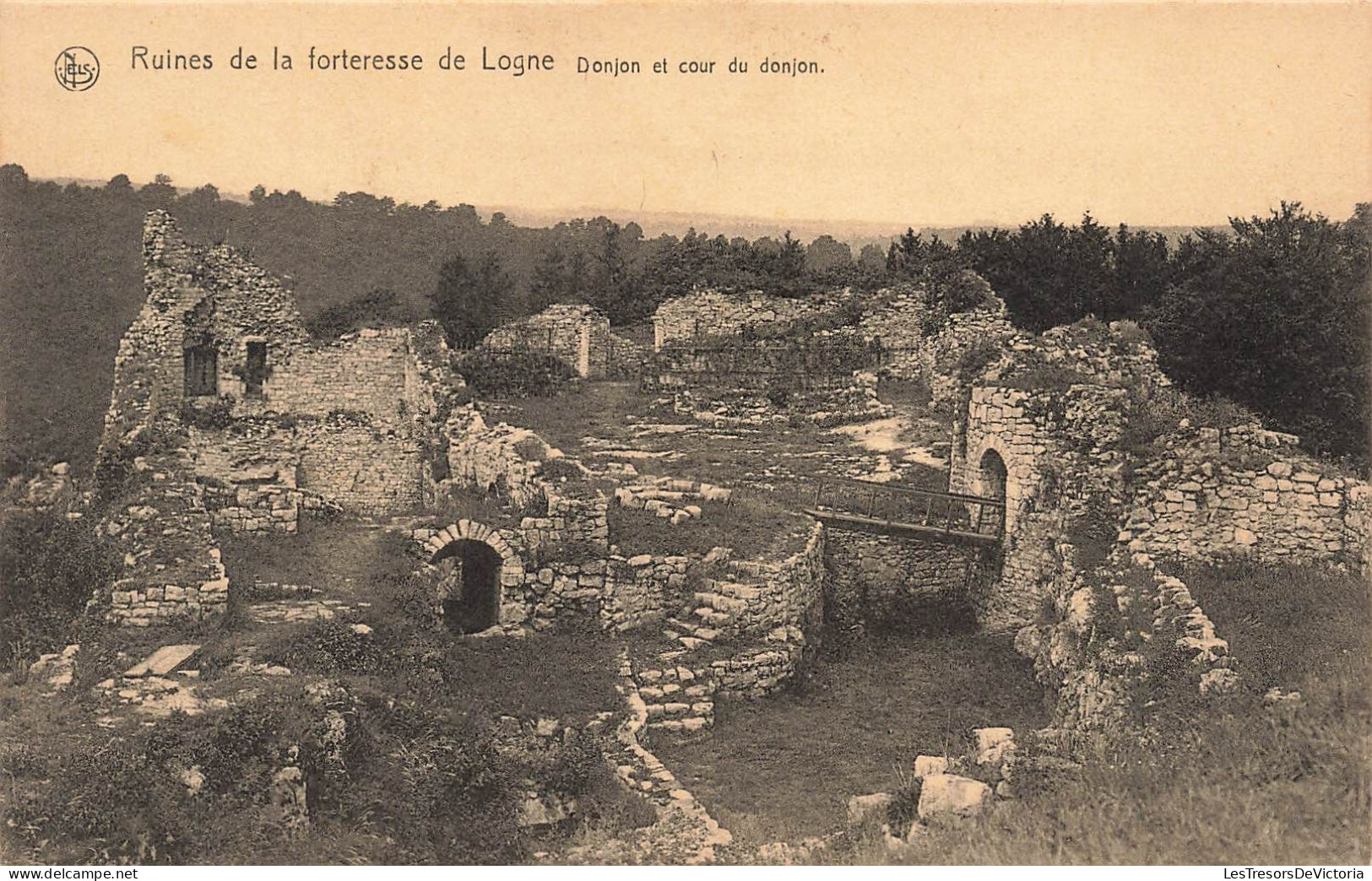 BELGIQUE - Ruines De La Forteresse De Logne - Donjon Et Cpour Du Donjon - Carte Postale Ancienne - Ferrières