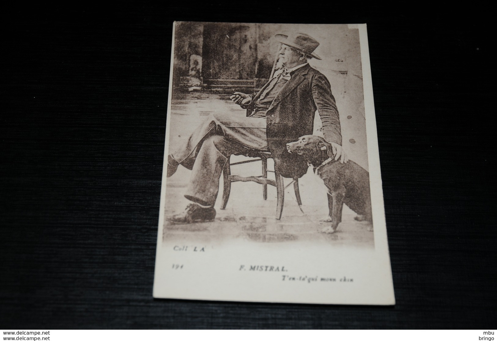 A10168            F.Mistral-ten-t'aqui Moun Chin  DOG  DOGS, CHIENS, HUNDE, PERROS - Sonstige & Ohne Zuordnung