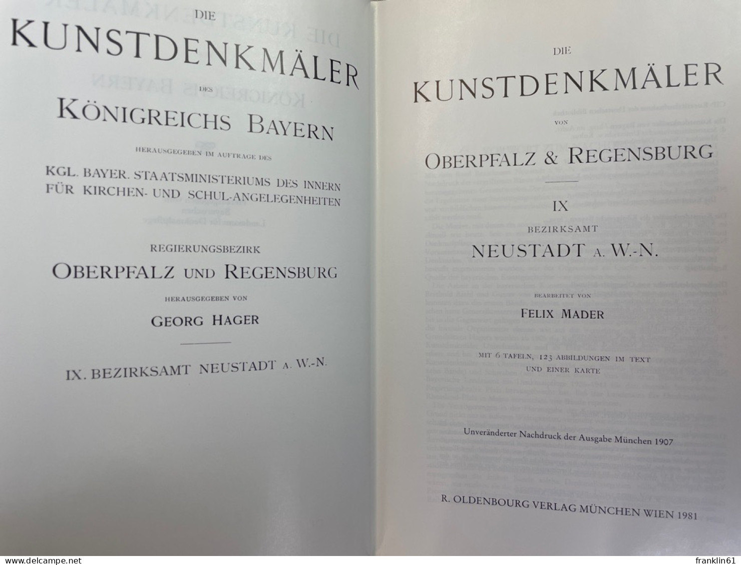 Die Kunstdenkmäler Von Oberpfalz Und Regensburg. Band IX.. Bezirksamt Neustadt A.W.-N. - Arquitectura