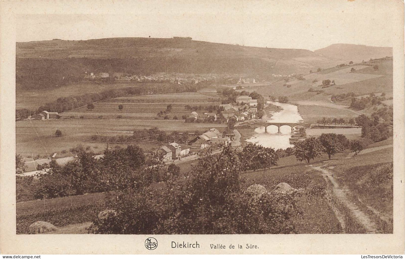 LUXEMBOURG - Diekirch - Vallée De La Sûre - Carte Postale Ancienne - Diekirch