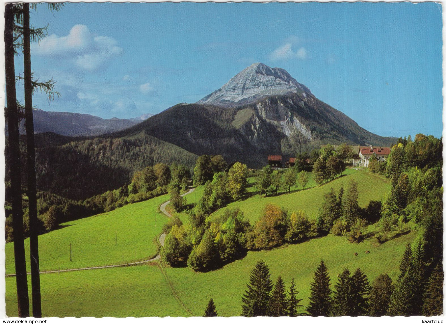 Naturpark Ötscher-Tormäuer - Ötscher 1895 M, Blick Von Gösing -  (N.Ö., Österreich/Austria) - Scheibbs