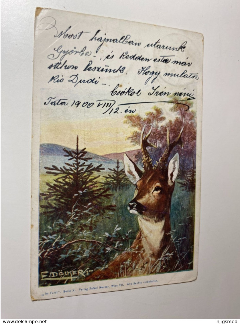 Deer Animal Hunting Topic Rafael Neuber Edition E Döcker Coecker Signed Graphic Art 17398 Post Card POSTCARD - Doecker, E.