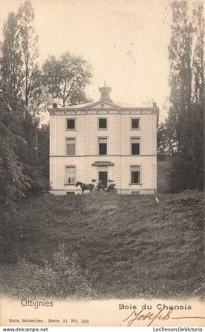 BELGIQUE - Ottignies - Bois Du Chenois - Carte Postale Ancienne - Ottignies-Louvain-la-Neuve