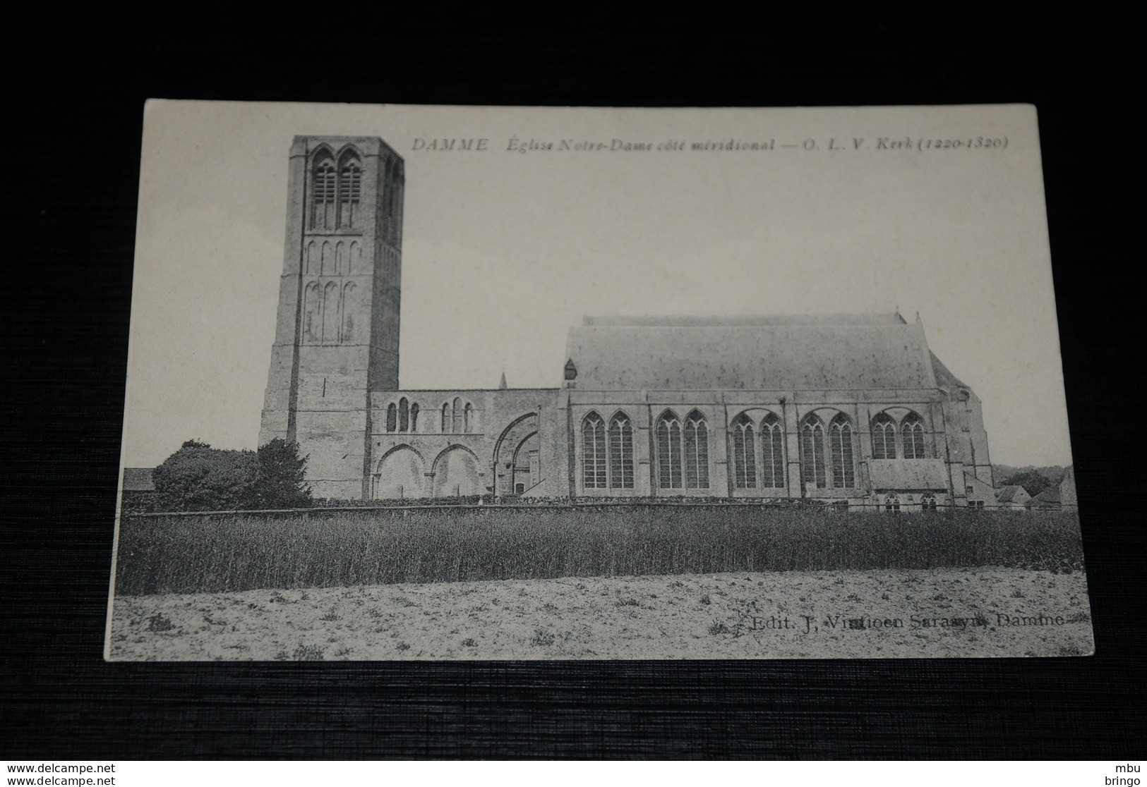 A10239          DAMME, EGLISE NOTRE-DAME COTE MERIDONAL - Damme