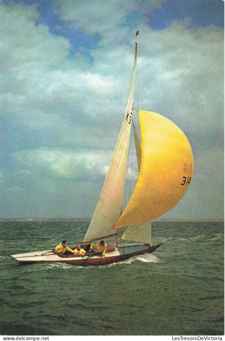 TRANSPORT - Bateaux - Dragon Class - Terylene Spinmakers Are A Feature Of The Dragons - Carte Postale - Sailing Vessels