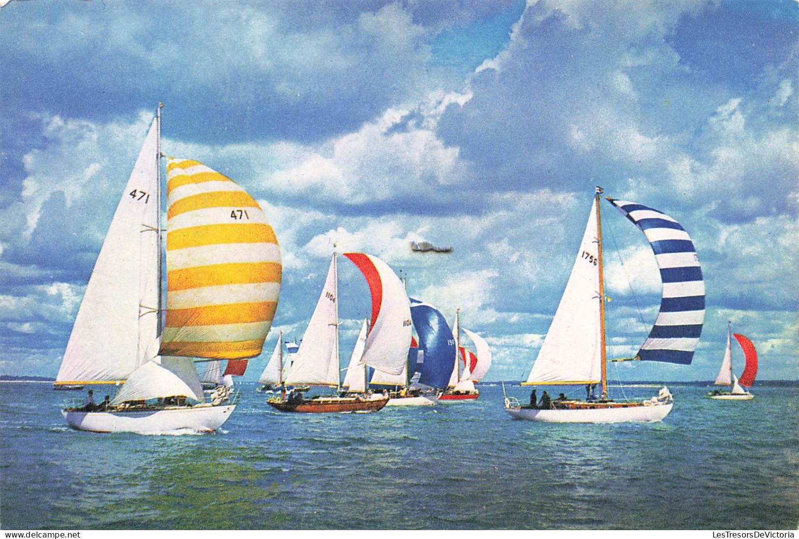 TRANSPORT - Bateaux - Sea, Sky And Sail - These Yachts Known As Solent Butterflies - Carte Postale - Voiliers