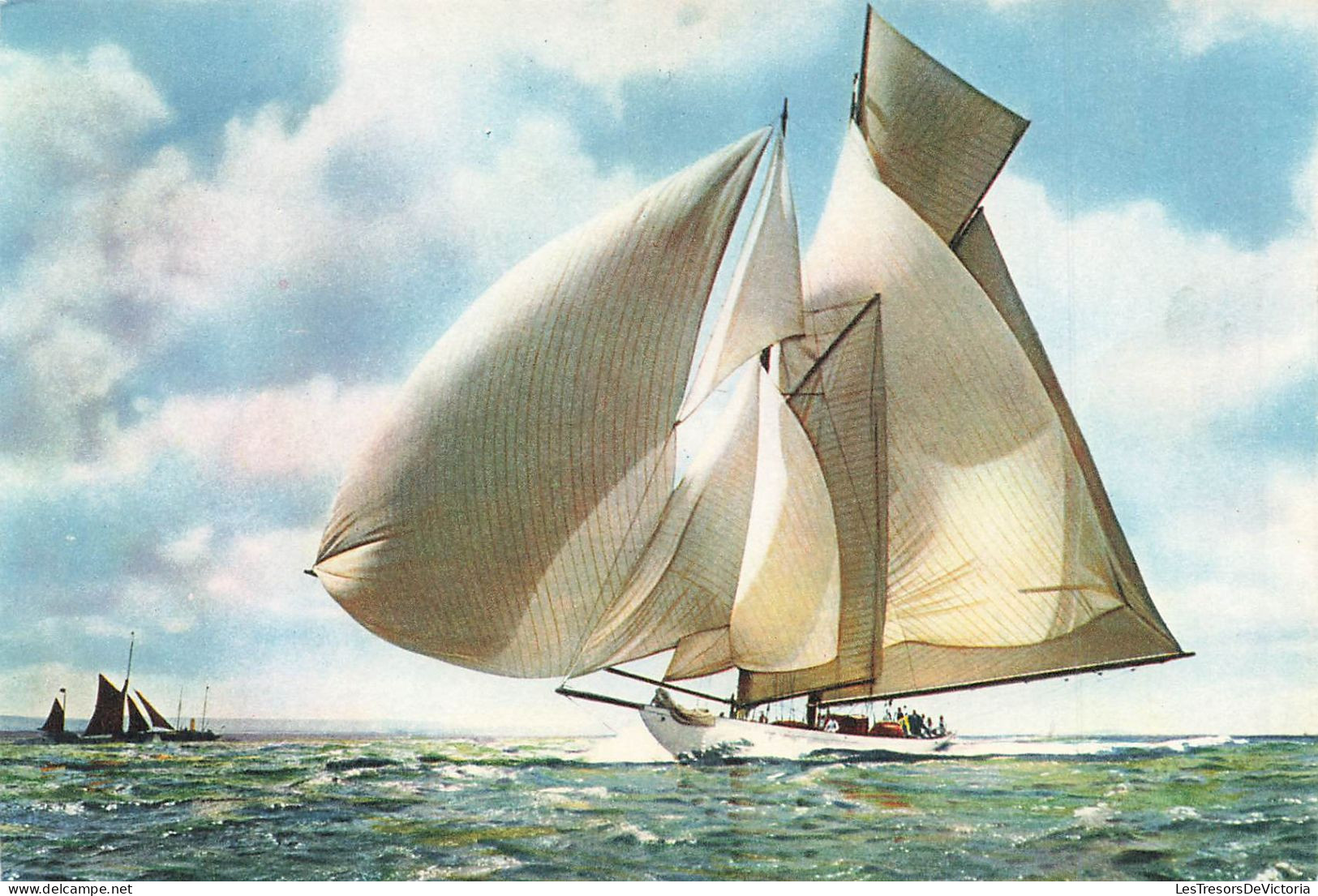 TRANSPORT - Bateaux - Suzanne - A Fine Study Of A Fore And Aft Schooner - Carte Postale - Segelboote