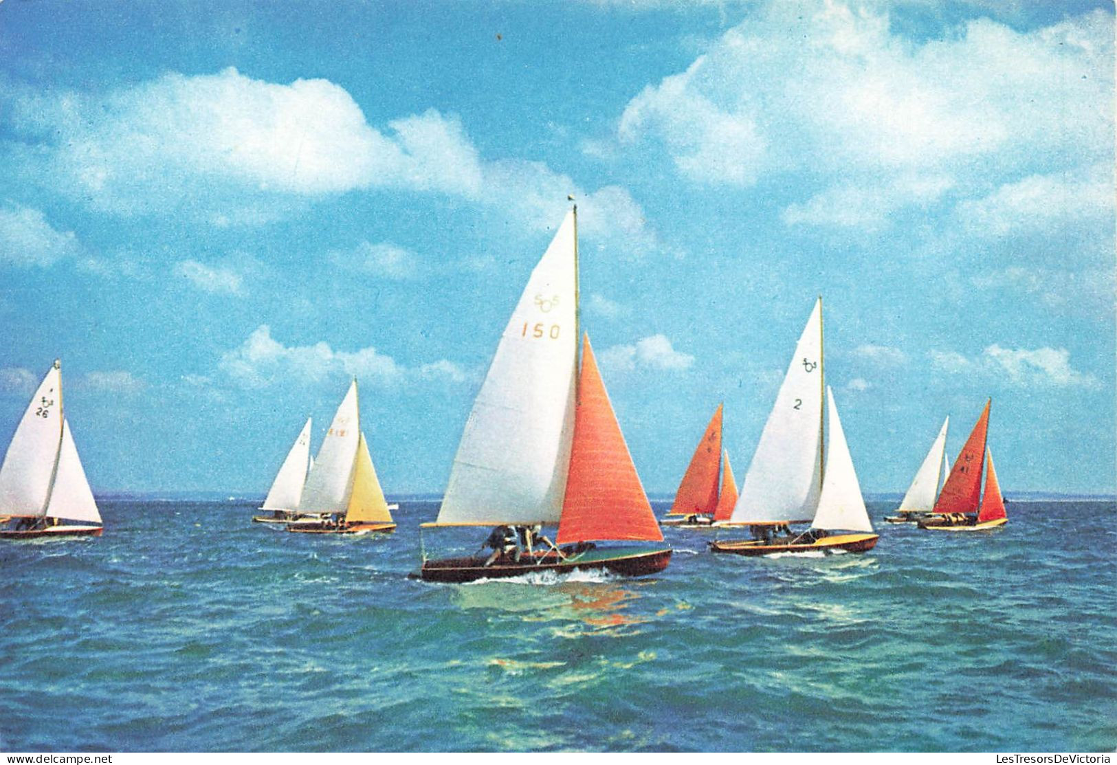 TRANSPORT - Bateaux - International 505 Class Dinghies - This Very Good Racing Dinghy ... - Carte Postale - Steamers