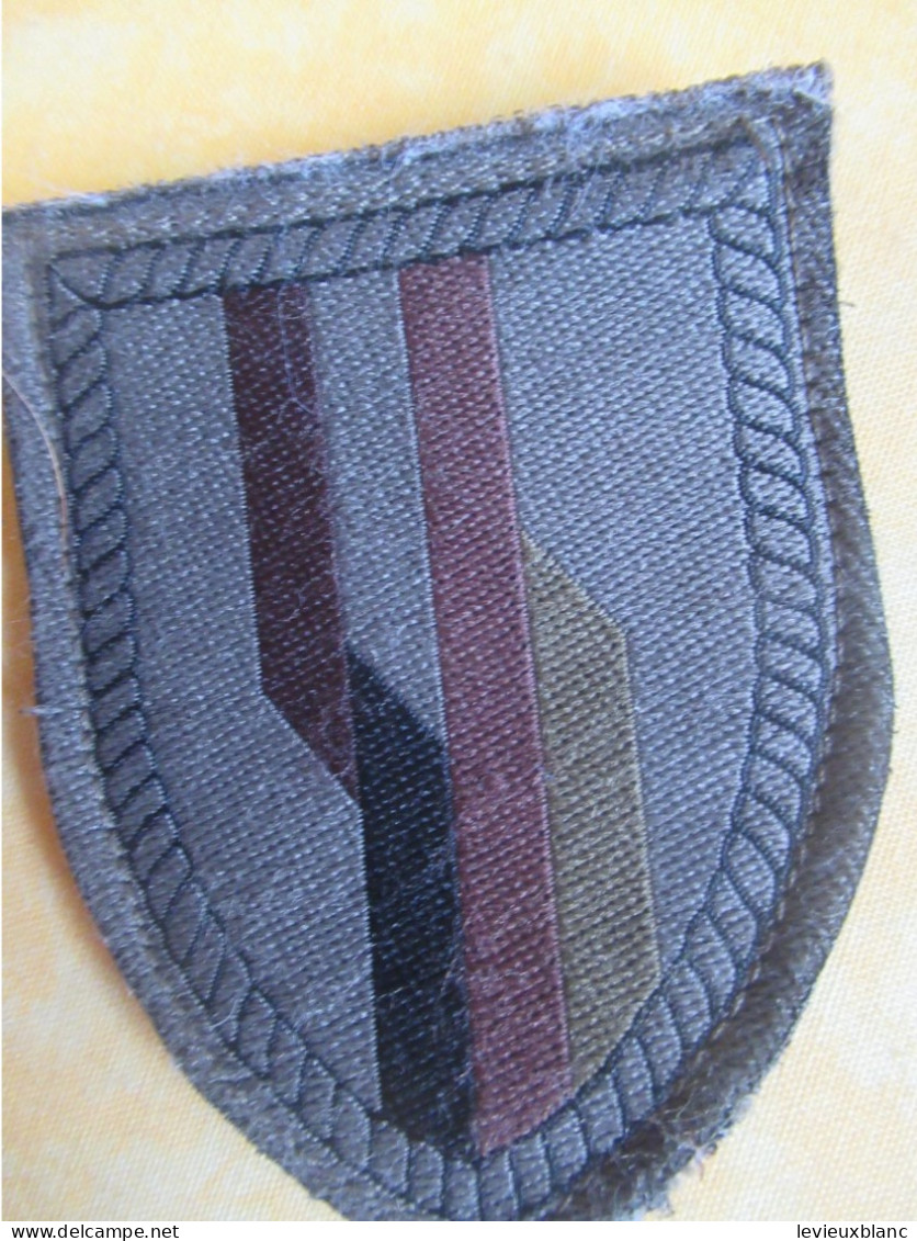 2 Ecussons Tissus Patch / France-Allemagne/ Exercices Communs Entre Les Deux Armées / Vers 2000-2010             ET560 - Escudos En Tela