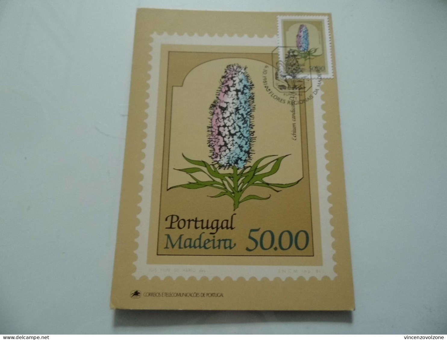 Cartolina Annullo "FLORES REGIONAL DE MADEIRA" - Marcophilie