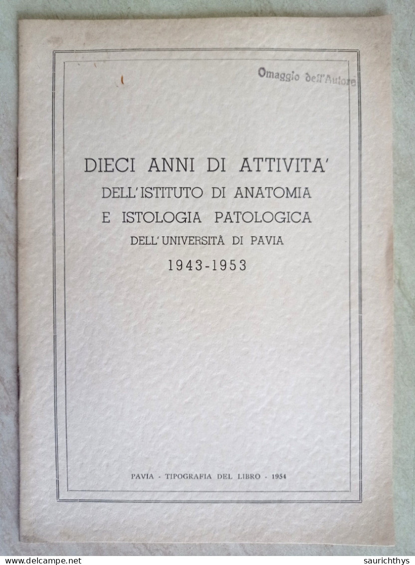 Dieci Anni Di Attività Dell'Istituto Di Anatomia E Istologia Patologica Dell'Università Di Pavia 1943 1953 - Histoire, Biographie, Philosophie