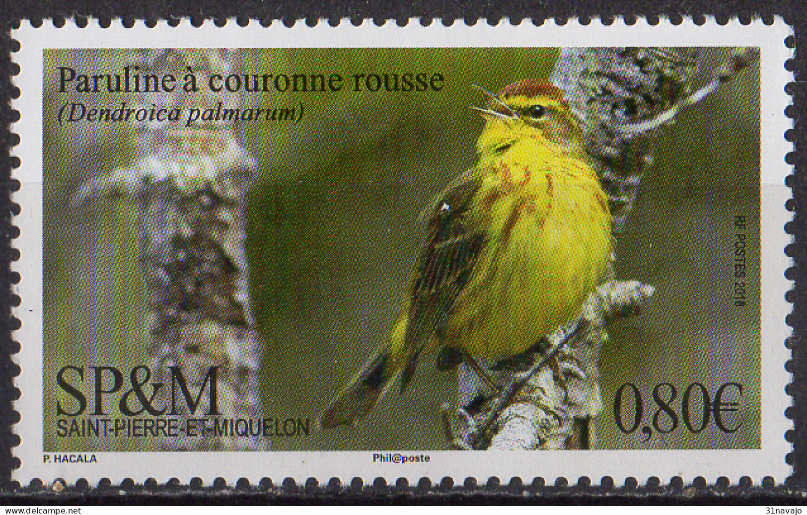 SAINT PIERRE ET MIQUELON - Oiseau 2018 A - Unused Stamps