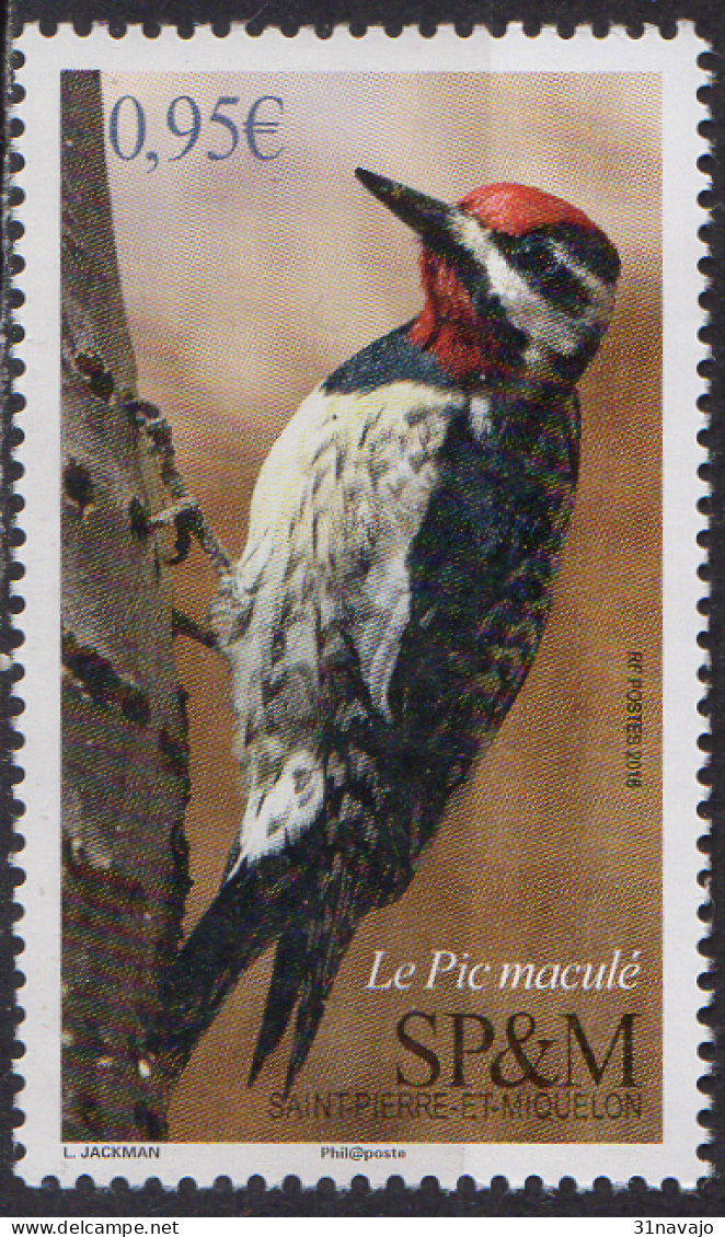 SAINT PIERRE ET MIQUELON - Oiseau 2018 B - Unused Stamps