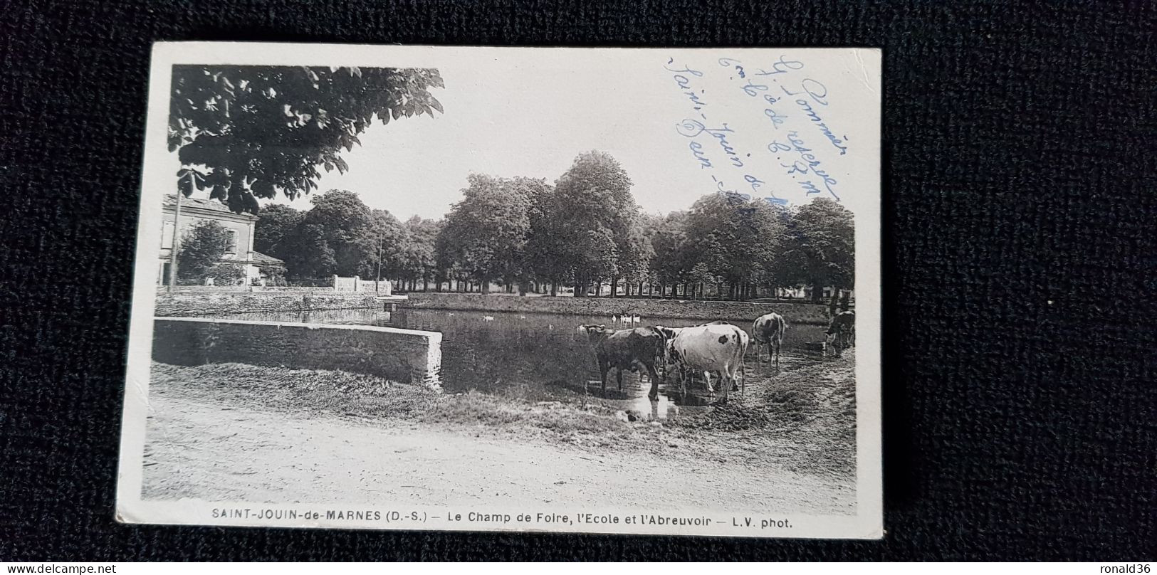 Cp 79 Deux Sèvre SAINT ST JOUIN De MARNES Le Champ De Foire L'école Et L'Abreuvoir ( Vaches Batiment ) - Saint Jouin De Marnes